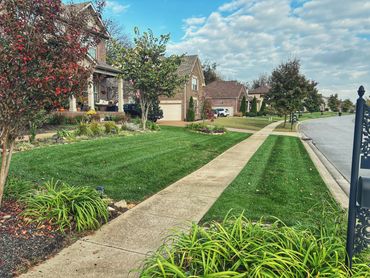 After picture of a residential mowing service