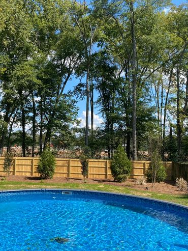 Green giant, magnolia and river birch install