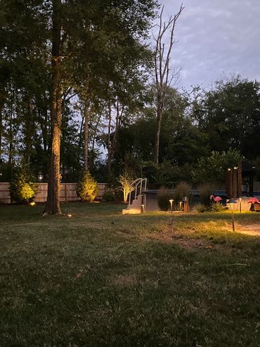 landscape lighting in backyard