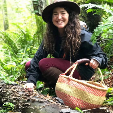 Wildcrafting in the forest