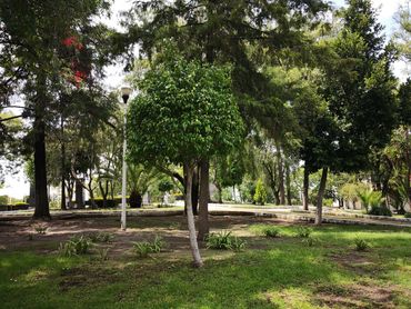 Terreno en venta, Col. La Paz, Puebla, Teziutlan Sur, Av. Juárez, Desarrollo, Departamento uso mixto