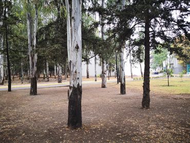 Terreno en venta Rancho Chapulco Periferico Puebla