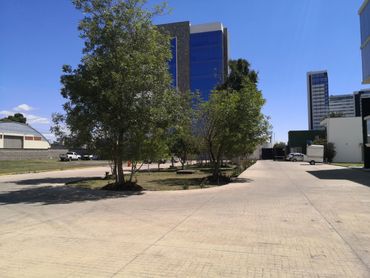 terreno en venta Poder Judicial de la Federación, Hotel Hampton Inn & Suites by Hilton Puebla, Edif