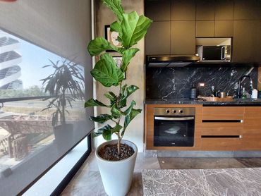 HOM HOLISTIC LIVING DEPARTAMENTOS EN VENTA ANGELOPOLIS PUEBLA BARA HELEA SONATA ADAMANT NUEVOS INVER