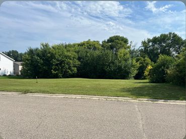 Empty grassy lot beside a paved road with trees in the background.