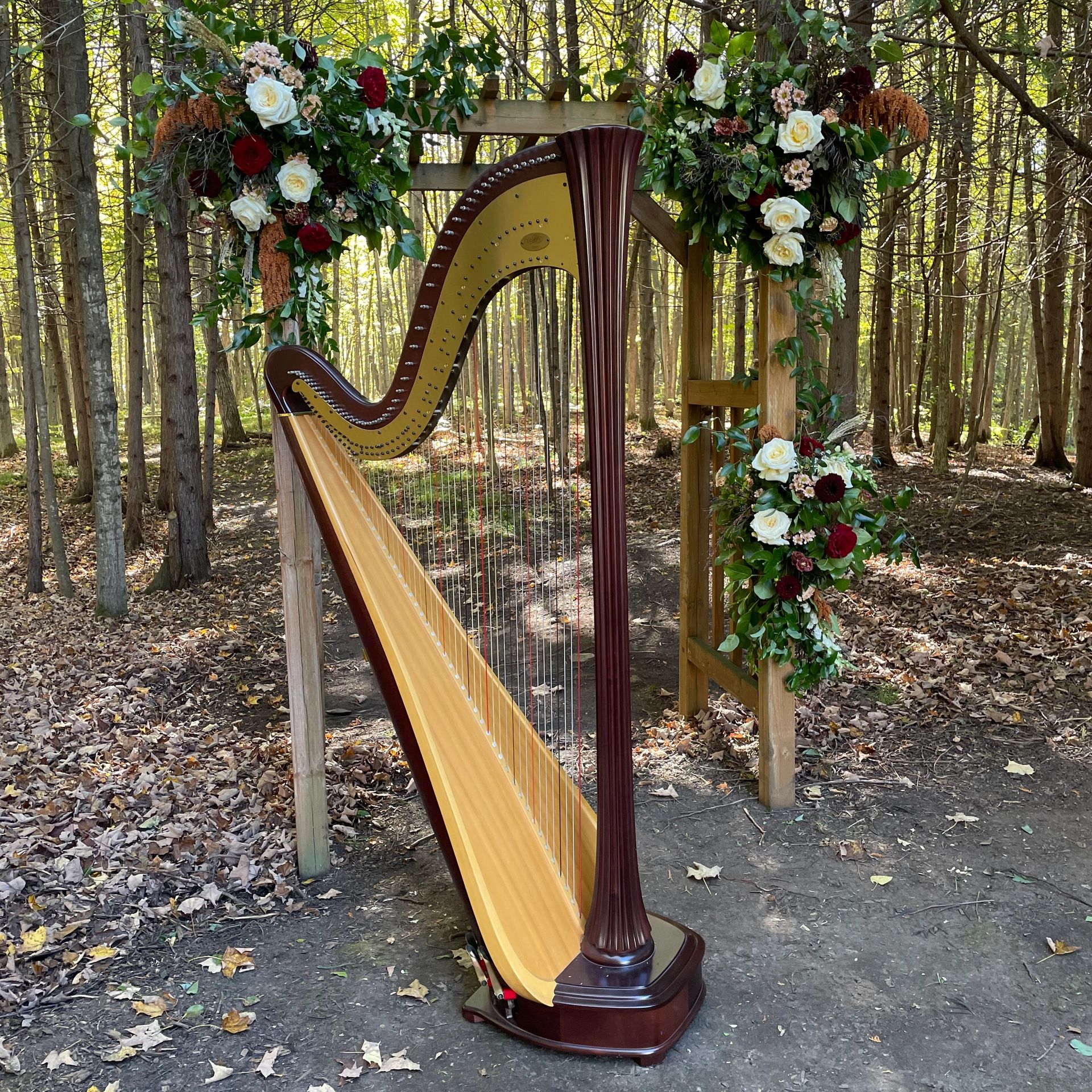 A pedal harp stands in front of a wooden arbour with floral accents, on an autumn day in a forest.