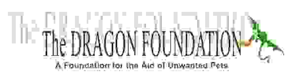 Dragon Foundation
