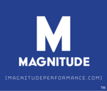 Magnitude Performance Suspension 