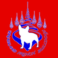 Thailand French Bulldogs