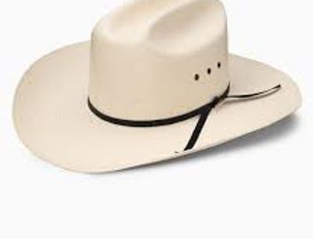 A beige cowboy hat with a black band.