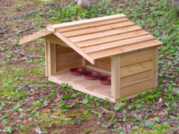 A simple cat feeding station.