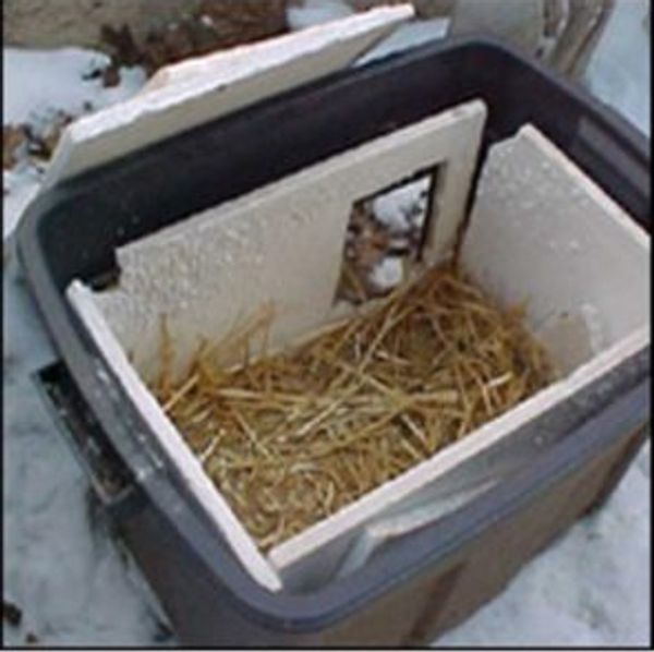An insulated Rubbermaid cat shelter with a small door cut into the side.