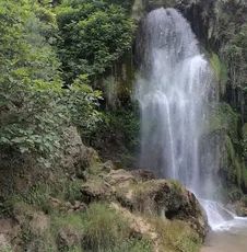 Please delve further into the website for more information or simply call or mail us. 
We speak, En