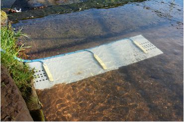 A partially submerged white bench in clear water near a grassy bank.