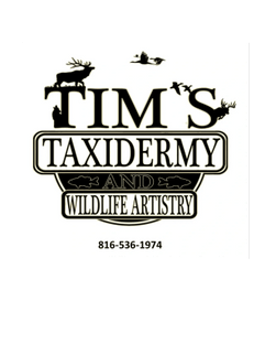 Tim's Taxidermy and Wildlife Artistry