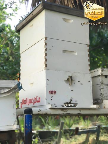 شنو سبب شراسة النحل أحياناً؟