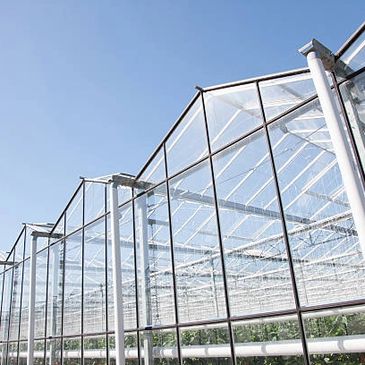 Greenhouse Air Quality