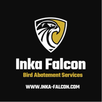 Inka Falcon