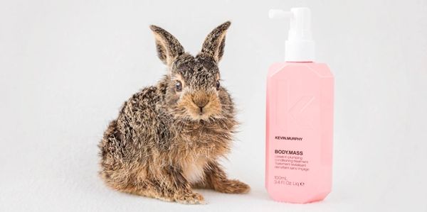 rabbit with pink bottle sat on table