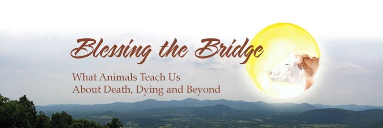 Blessing the Bridge - what animals teach us about death, dying, and beyond.