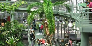 Inside of Academy of Science.