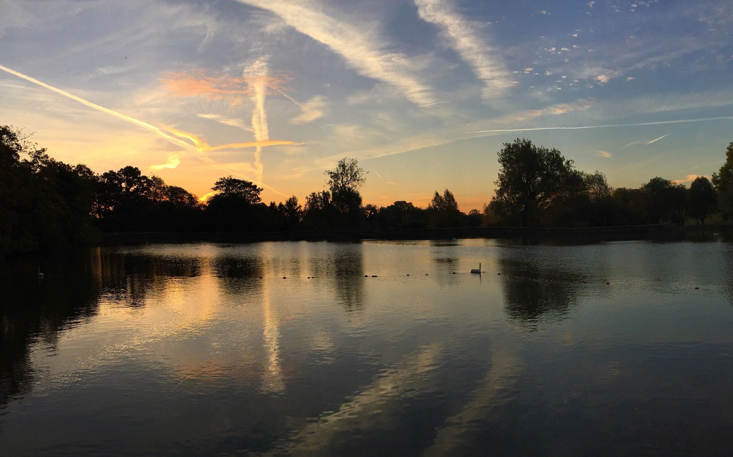 Highgate Men's Pond Association