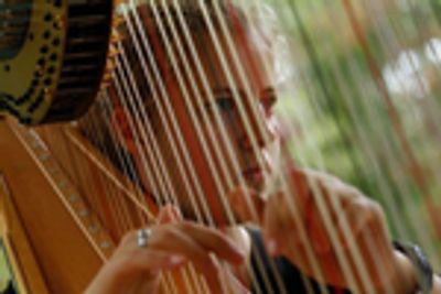 Northern Virginia Harpist