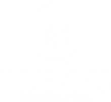 Plexys Consulting