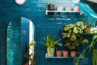Teal shower-room wall tiles with an arched mirror, open shelves and plants in Newham.