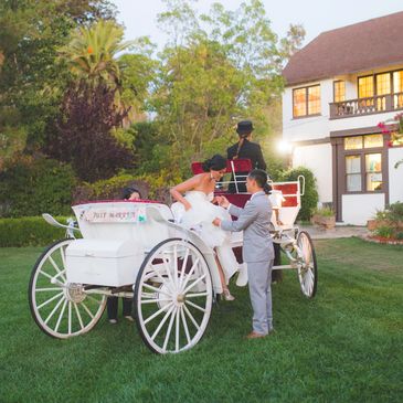 Arrive at your wedding in a white horse drawn carriage, available throughout the entire San Francisc