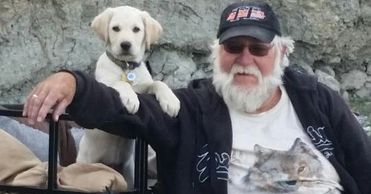 Puppies in their new homes!