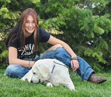 English Labrador Retriever posing with her owner
English Labrador Retriever Puppies