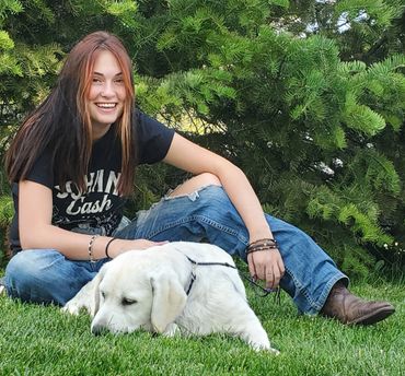 English Labrador laying in grass
White English Labrador Retriever Breeder