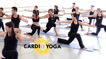 Cardio yoga, stacey lei krauss, teacher training, fitness education, naboso, barre fitness, yoga