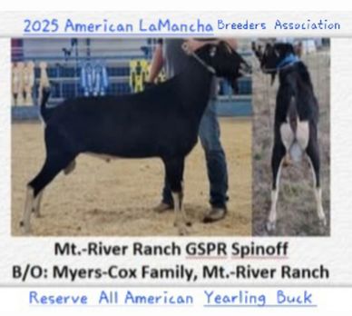 MT.-RIVER RANCH GSPR Spinoff