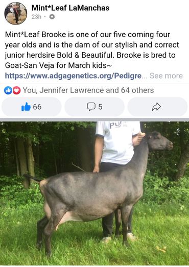 Journeys sister. BROOKE