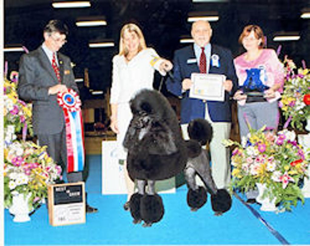 Best in Show winner