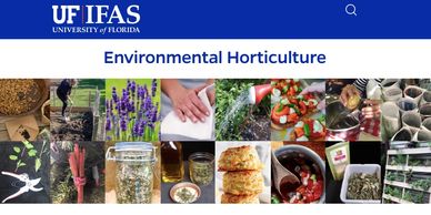 Therapeutic Horticulture Activities Database 