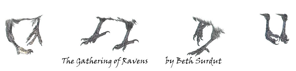 four pairs of raven feet gather in a drawing by Beth Surdut