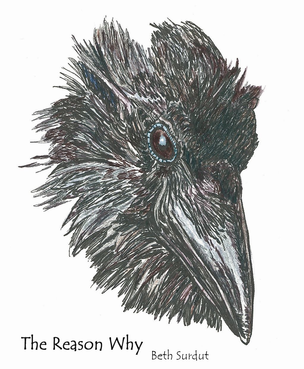 Raven head drawing by Beth Surdut