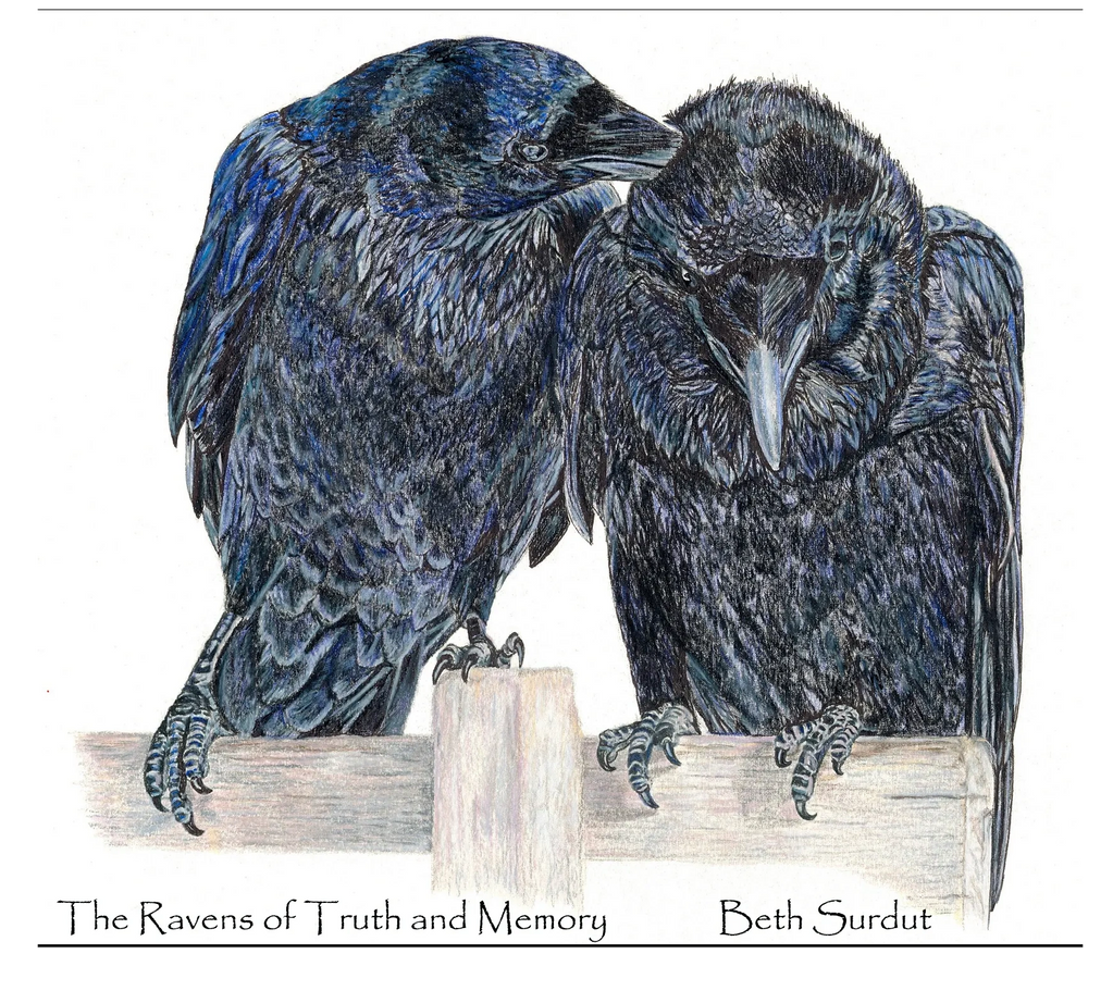 two ravens  sitting on a fence drawing by Beth Surdut