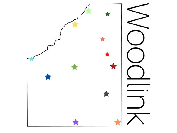 The Woodlink Libraries logo, highlighting the libraries in Wood County.