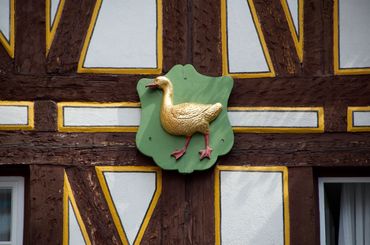 Eine goldene Gans im Kirschgarten