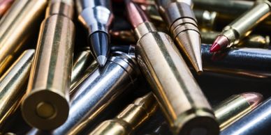 Honesdale Northeast Firearms Storefront Gun Shop Rifle Hunt Ammo Scope Safes