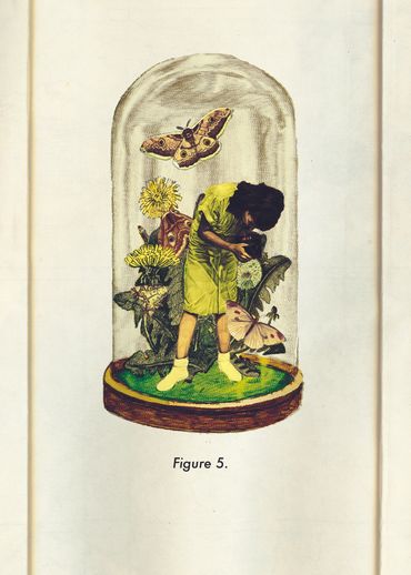 girl in a terrarium using a vintage camera surrounded by moths and dandelions. 