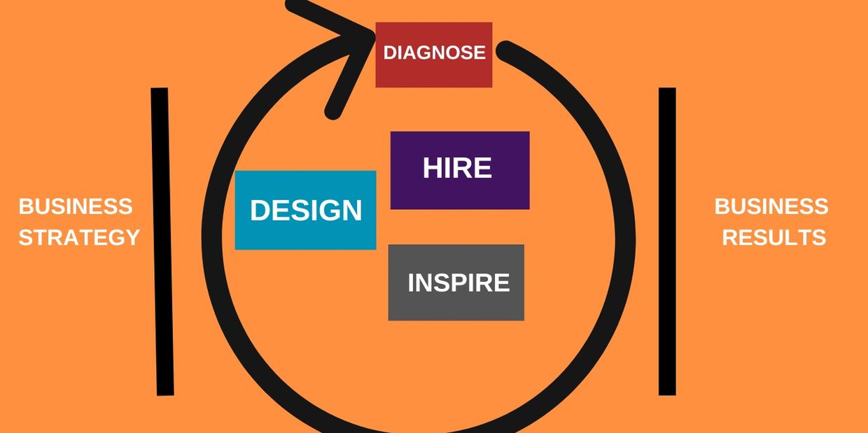 The Talent Optimization Process