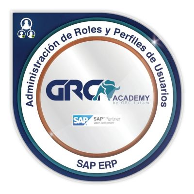 Insignia de Administración de Roles y Perfiles de Usuarios SAP ERP.