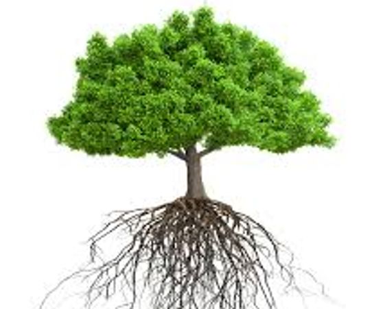 career coaching starts with self-assessment