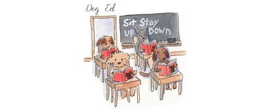 classroom, dogs, learning, childrens stories, blackboard, desks, books, humorous, education, Covid 1