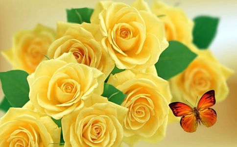 Yellow roses with a monarch butterfly perched on the flowers